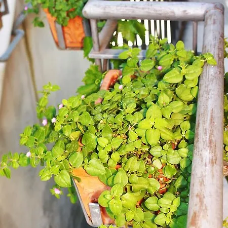 Casa Josy Lejlighed *